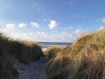 WhatsApp Image 2020-03-25 at 10.14.32(2)